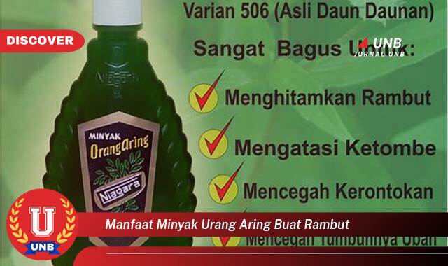 Temukan 8 Manfaat manfaat minyak urang aring buat rambut yang Jarang Diketahui
