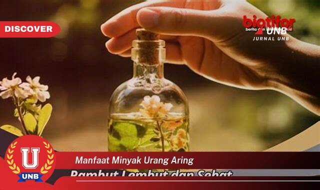 Temukan 8 Manfaat Minyak Urang Aring untuk Rambut Sehat Berkilau Alami Temukan 8 Manfaat Minyak Urang Aring untuk Rambut Sehat Berkilau Alami