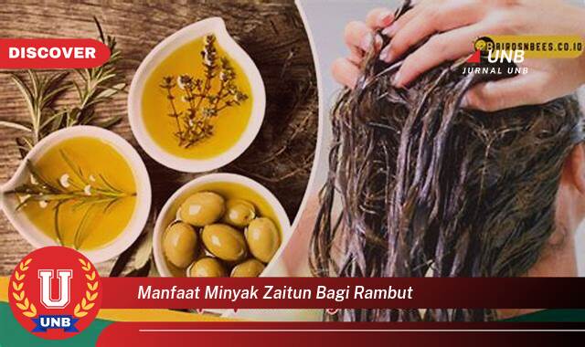 Temukan 9 Manfaat manfaat minyak zaitun bagi rambut yang Jarang Diketahui