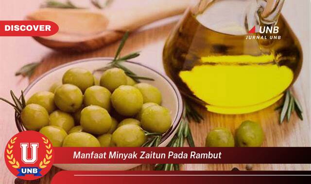 Temukan 10 Manfaat manfaat minyak zaitun pada rambut yang Wajib kamu ketahui