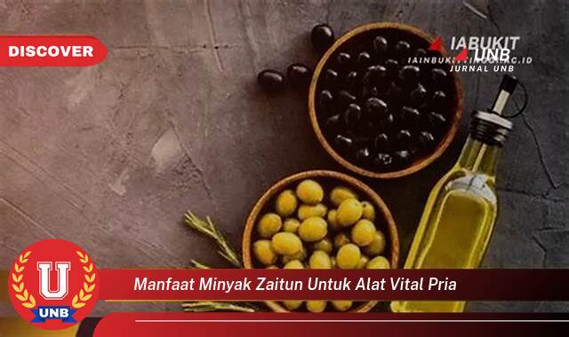 Temukan 8 Manfaat minyak zaitun untuk alat vital pria yang Wajib Kamu Intip