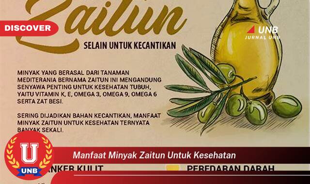 Temukan 10 Manfaat Minyak Zaitun untuk Kesehatan, Dari Jantung Sehat Hingga Kulit Bercahaya Temukan 10 Manfaat Minyak Zaitun untuk Kesehatan, Dari Jantung Sehat Hingga Kulit Bercahaya