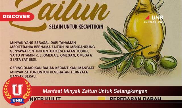 8 Manfaat manfaat minyak zaitun untuk selangkangan yang tidak Semua Orang Tau