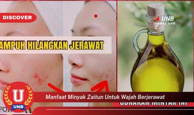 Ketahui 9 Manfaat manfaat minyak zaitun untuk wajah berjerawat yang Jarang Diketahui