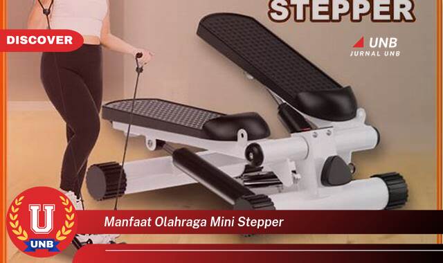 Inilah 9 Manfaat manfaat olahraga mini stepper yang tidak Semua Orang Tau