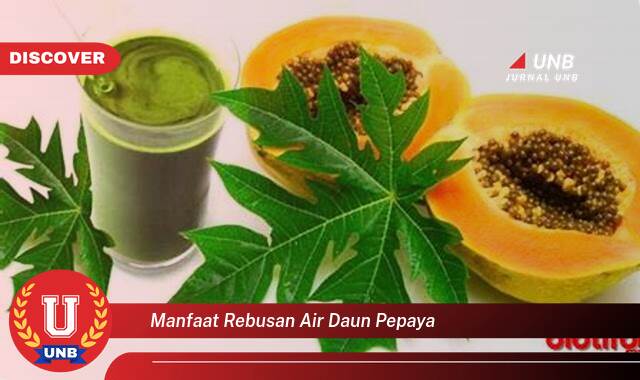 Temukan 9 Manfaat manfaat rebusan air daun pepaya yang Wajib Kamu Intip