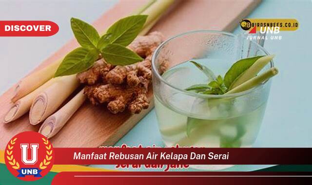 Inilah 8 Manfaat manfaat rebusan air kelapa dan serai yang tidak Semua Orang Tau