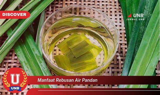 Temukan 10 Manfaat Rebusan Air Pandan untuk Kesehatan Tubuh Anda