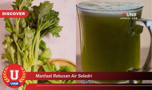 Ketahui 8 Manfaat manfaat rebusan air seledri yang tidak Semua Orang Tau