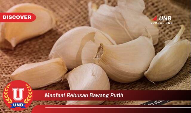 Temukan 8 Manfaat Rebusan Bawang Putih untuk Kesehatan Tubuh Anda Temukan 8 Manfaat Rebusan Bawang Putih untuk Kesehatan Tubuh Anda