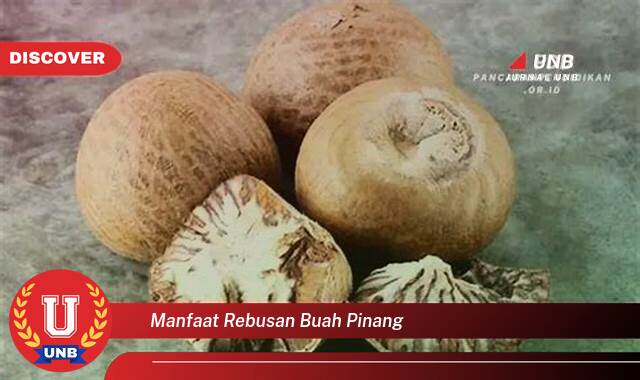 Inilah 8 Manfaat manfaat rebusan buah pinang yang Jarang Diketahui