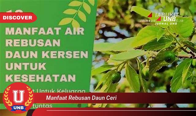 Temukan 9 Manfaat Rebusan Daun Ceri yang Wajib Kamu Intip