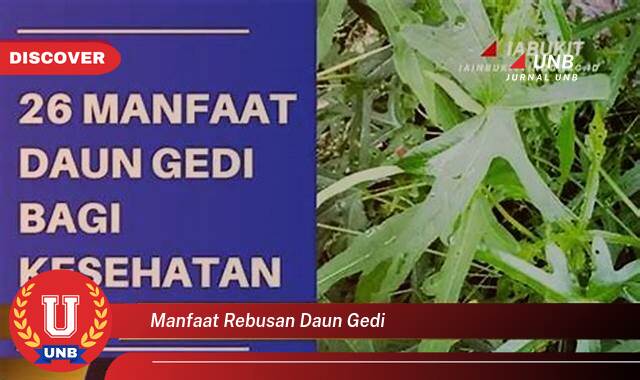 Ketahui 9 Manfaat Rebusan Daun Gedi yang Wajib Kamu Ketahui