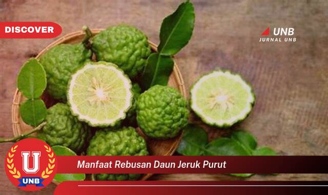 Temukan 8 Manfaat Rebusan Daun Jeruk Purut untuk Kesehatan Anda