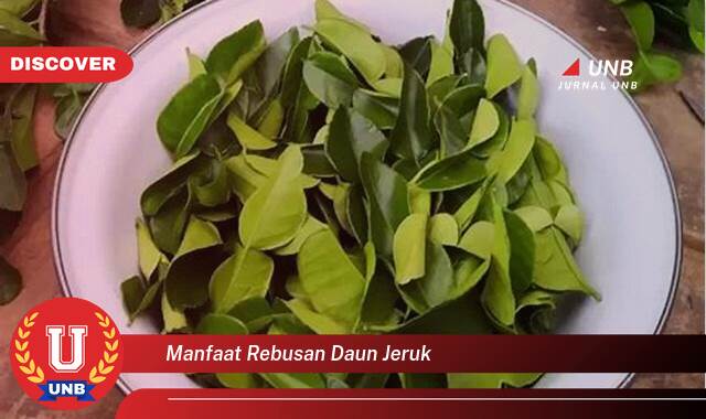 Inilah 9 Manfaat manfaat rebusan daun jeruk yang Jarang Diketahui