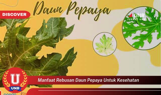 Inilah 10 Manfaat manfaat rebusan daun pepaya untuk kesehatan yang Wajib Kamu Intip