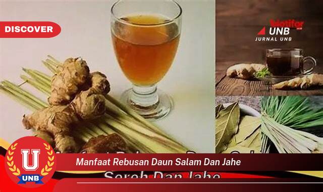 Temukan 10 Manfaat Rebusan Daun Salam dan Jahe untuk Kesehatan, Diet, dan Kecantikan