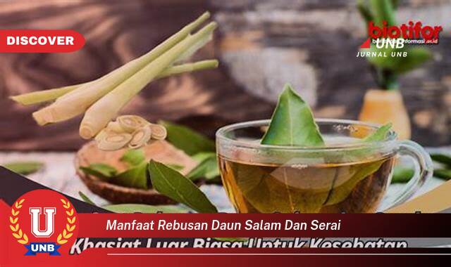 8 Manfaat rebusan daun salam dan serai yang Jarang Diketahui