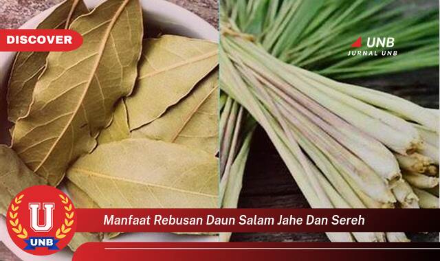 Temukan 10 Manfaat rebusan daun salam jahe dan sereh yang tidak Semua Orang Tau