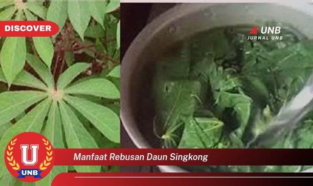 Temukan 8 Manfaat manfaat rebusan daun singkong yang Wajib kamu ketahui