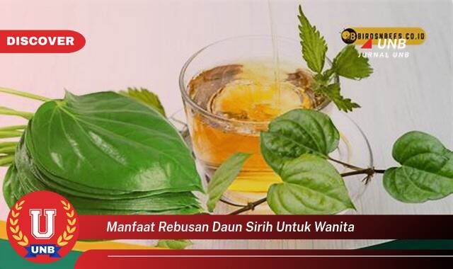 Inilah 10 Manfaat manfaat rebusan daun sirih untuk wanita yang Bikin Kamu Penasaran