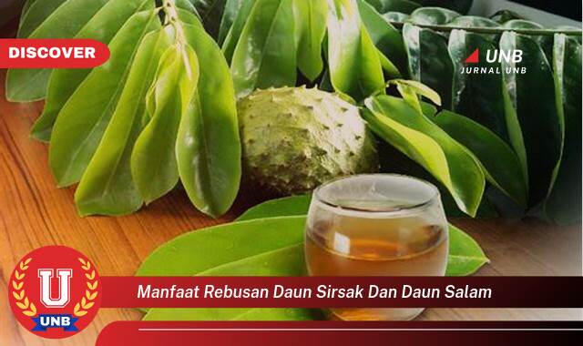 Ketahui 9 Manfaat manfaat rebusan daun sirsak dan daun salam yang tidak Semua Orang Tau
