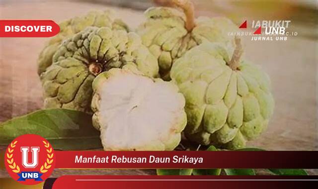 Inilah 8 Manfaat manfaat rebusan daun srikaya yang Wajib kamu ketahui