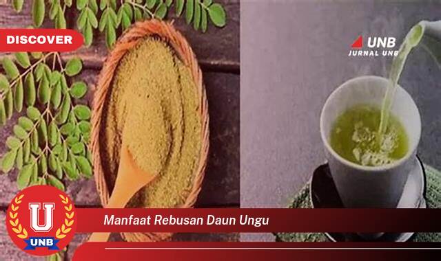 Inilah 10 Manfaat manfaat rebusan daun ungu yang tidak Semua Orang Tau
