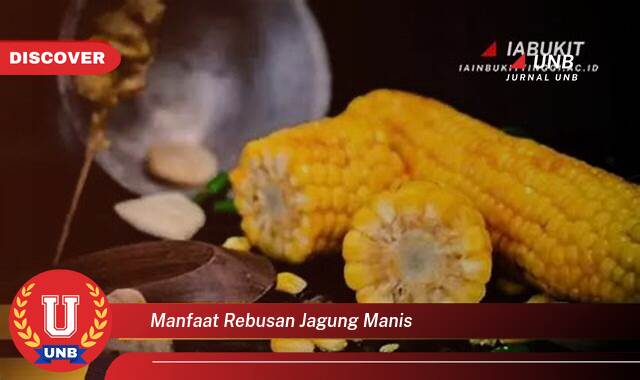 10 Manfaat rebusan jagung manis yang Jarang Diketahui