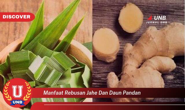 Ketahui 9 Manfaat manfaat rebusan jahe dan daun pandan yang Jarang Diketahui