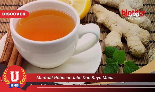 Temukan 9 Manfaat manfaat rebusan jahe dan kayu manis yang Jarang Diketahui
