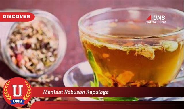 8 Manfaat manfaat rebusan kapulaga yang Wajib Kamu Intip