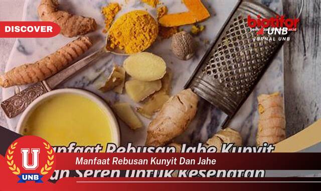 Temukan 10 Manfaat Rebusan Kunyit dan Jahe untuk Kesehatan Tubuh Anda