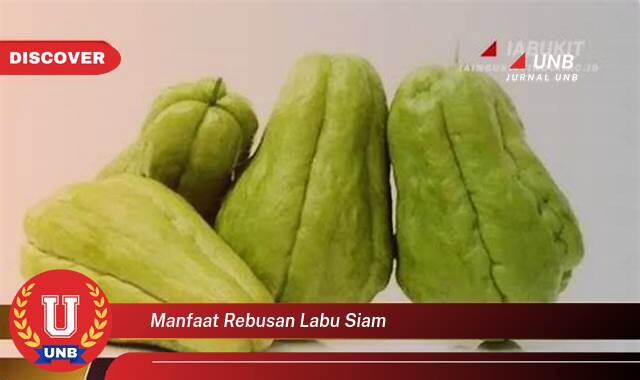 Temukan 8 Manfaat Rebusan Labu Siam untuk Kesehatan Tubuh Anda