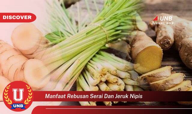 10 Manfaat Rebusan Serai dan Jeruk Nipis yang Wajib Kamu Intip