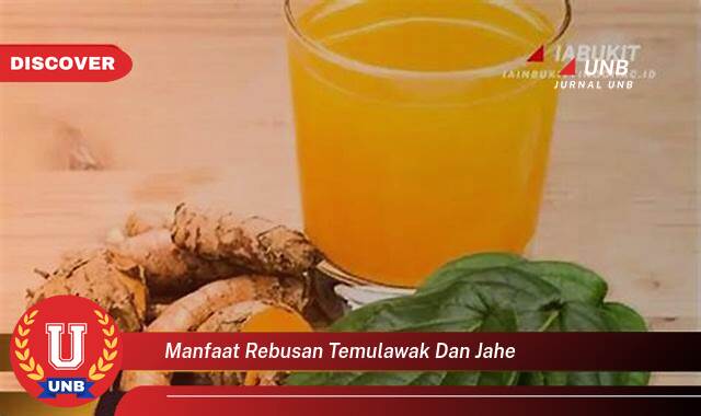9 Manfaat manfaat rebusan temulawak dan jahe yang tidak Semua Orang Tau