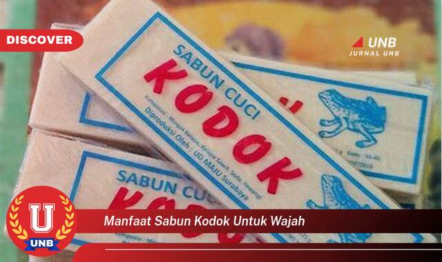 Inilah 8 Manfaat manfaat sabun kodok untuk wajah yang Wajib Kamu Intip