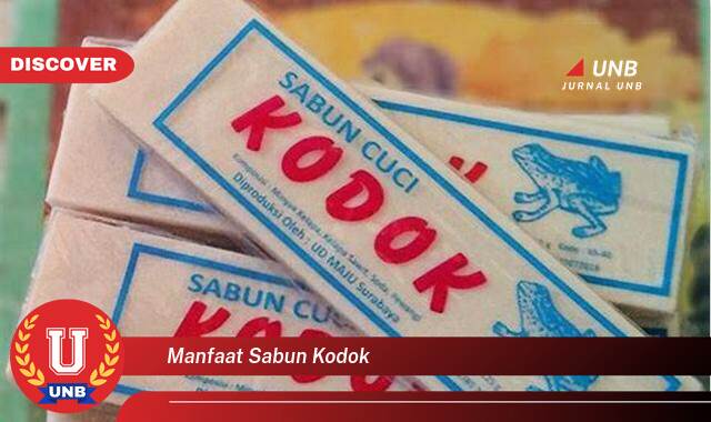 9 Manfaat manfaat sabun kodok yang Jarang Diketahui