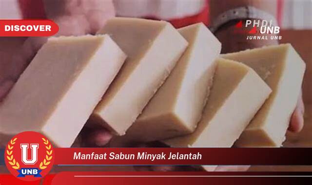 Temukan 10 Manfaat manfaat sabun minyak jelantah yang Bikin Kamu Penasaran