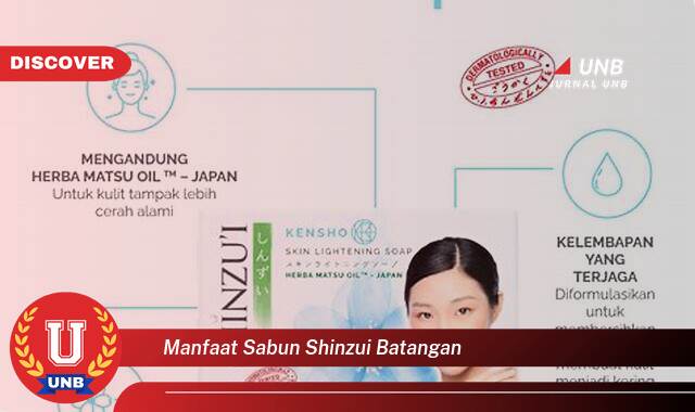 Temukan 10 Manfaat Sabun Shinzui Batangan untuk Kulit Cerah dan Sehat Alami