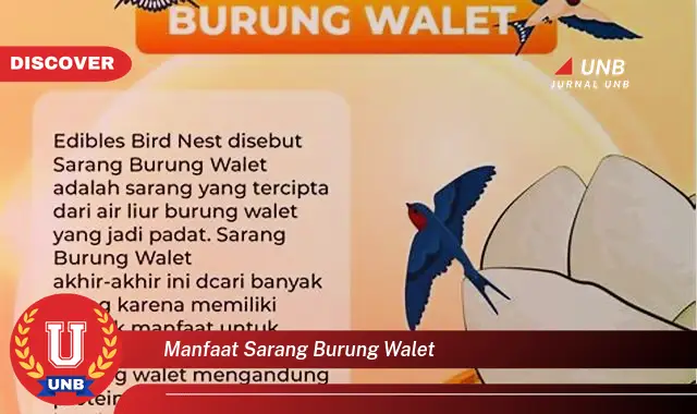 manfaat sarang burung walet