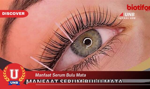 Ketahui 8 Manfaat manfaat serum bulu mata yang Wajib kamu ketahui