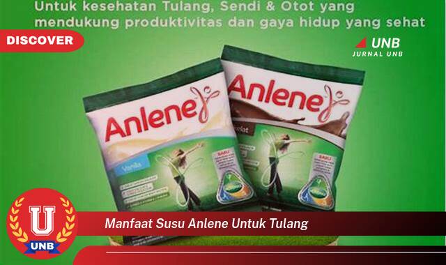 10 Manfaat Susu Anlene untuk Tulang yang Wajib Kamu Ketahui