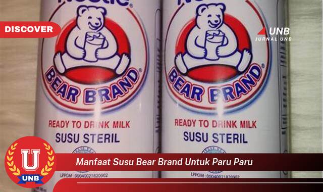 Temukan 8 Manfaat manfaat susu bear brand untuk paru paru yang Wajib Kamu Intip