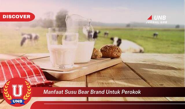 Temukan 10 Manfaat Susu Bear Brand untuk Perokok, Mitigasi Risiko dan Perlindungan Kesehatan