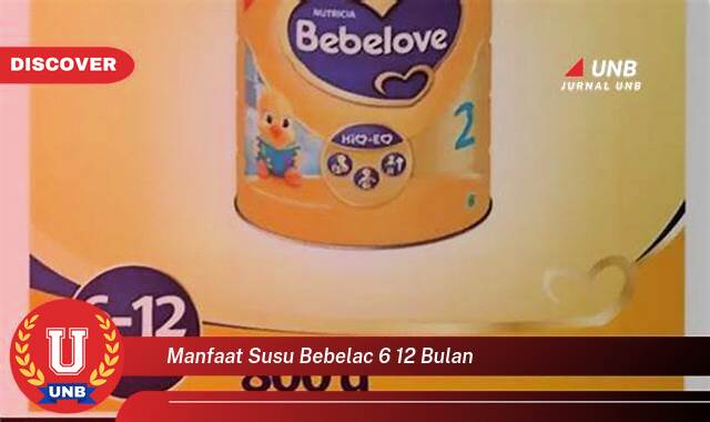 Temukan 8 Manfaat manfaat susu bebelac 6 12 bulan yang Jarang Diketahui