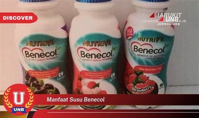 Temukan 9 Manfaat Susu Benecol yang Jarang Diketahui
