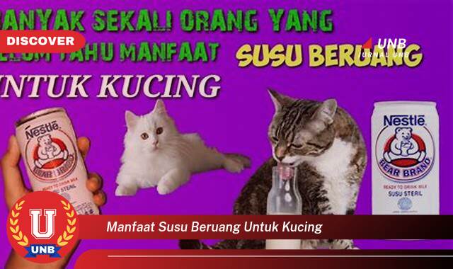 Temukan 8 Manfaat Susu Beruang untuk Kucing, Meningkatkan Kesehatan dan Kebahagiaan Si Meong