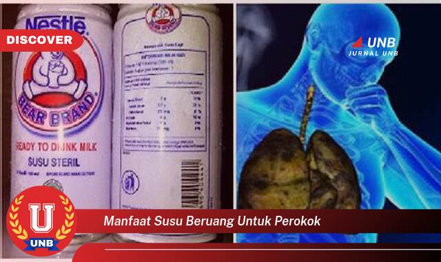 Temukan 9 Manfaat Susu Beruang untuk Perokok, Mengatasi Batuk, Membersihkan Paru,Paru, dan Meningkatkan Daya Tahan Tubuh