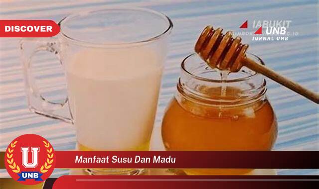 Temukan 10 Manfaat manfaat susu dan madu yang Jarang Diketahui